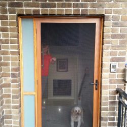 Security Screen Door