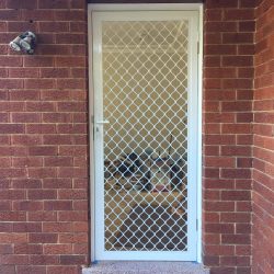 Diamond grille door