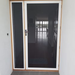 front entrance security door with side panel