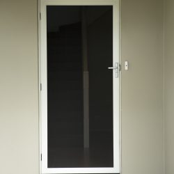 Front Door Screen